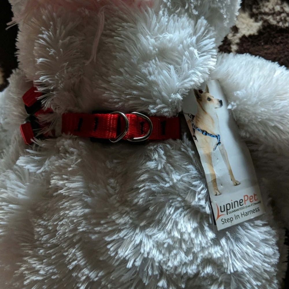 2 dog step in harness